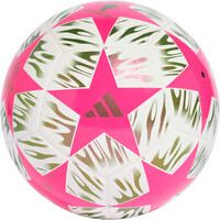 UEFA CHAMPIONS LEAGUE FINAL CLUB