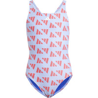 adidas bañador natación niña BRD GFX ST GY vista frontal