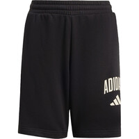 adidas bermuda niño SEASONALS UNIVERSITARIO 04