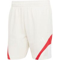 adidas bermudas hombre HOUSE OF TIRO NATIONS PACK 04