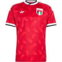 adidas camiseta de fútbol oficiales 2 EQUIPACION EMIRATOS ARABES 26 04