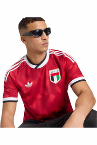 adidas camiseta de fútbol oficiales 2 EQUIPACION EMIRATOS ARABES 26 vista detalle
