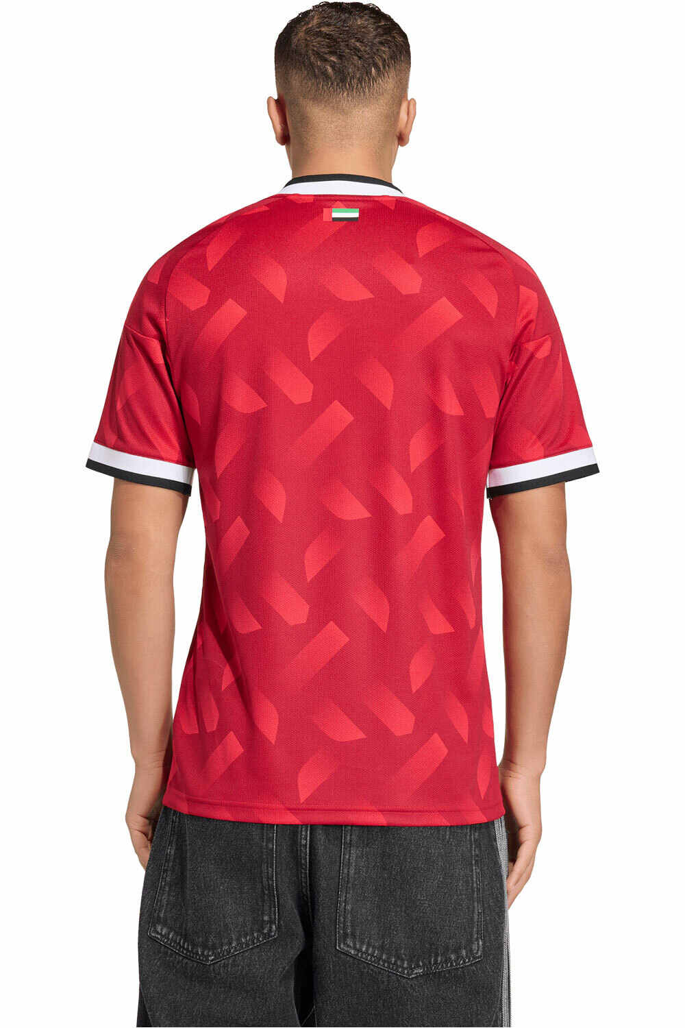 adidas camiseta de fútbol oficiales 2 EQUIPACION EMIRATOS ARABES 26 vista trasera