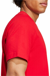 adidas camiseta de fútbol oficiales ARSENAL DNA GRAPHIC 04