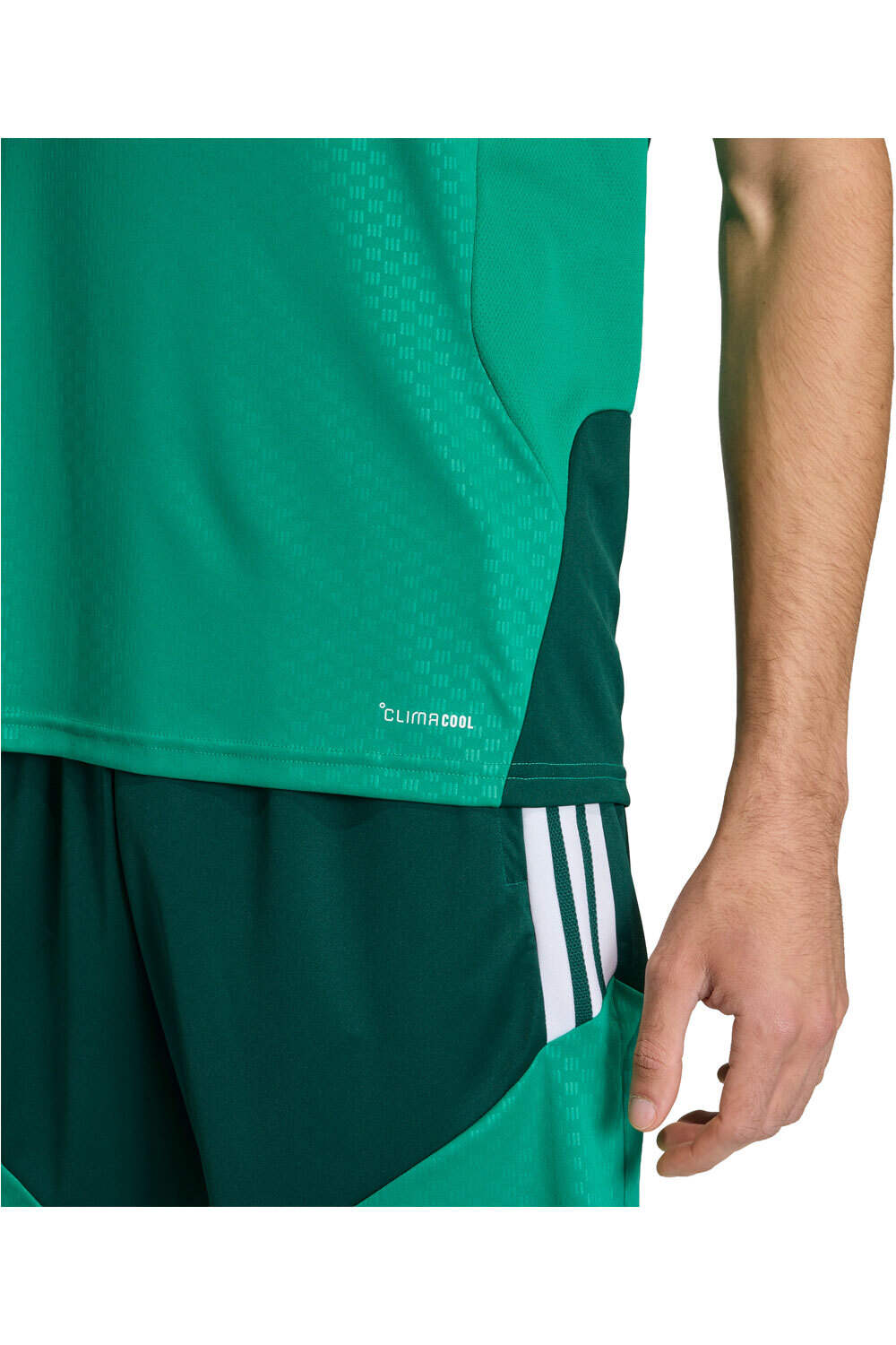 adidas camiseta de fútbol oficiales DE ENTRENAMIENTO ARGELIA 26 03