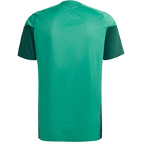 adidas camiseta de fútbol oficiales DE ENTRENAMIENTO ARGELIA 26 05