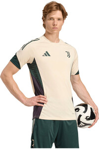 adidas camiseta de fútbol oficiales ENTRENO JUVENTUS TIRO 25 COMPETITION vista detalle