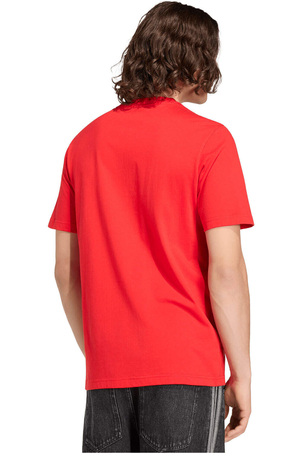 adidas camiseta de fútbol oficiales ESTAMPADA ESPAA DNA vista trasera