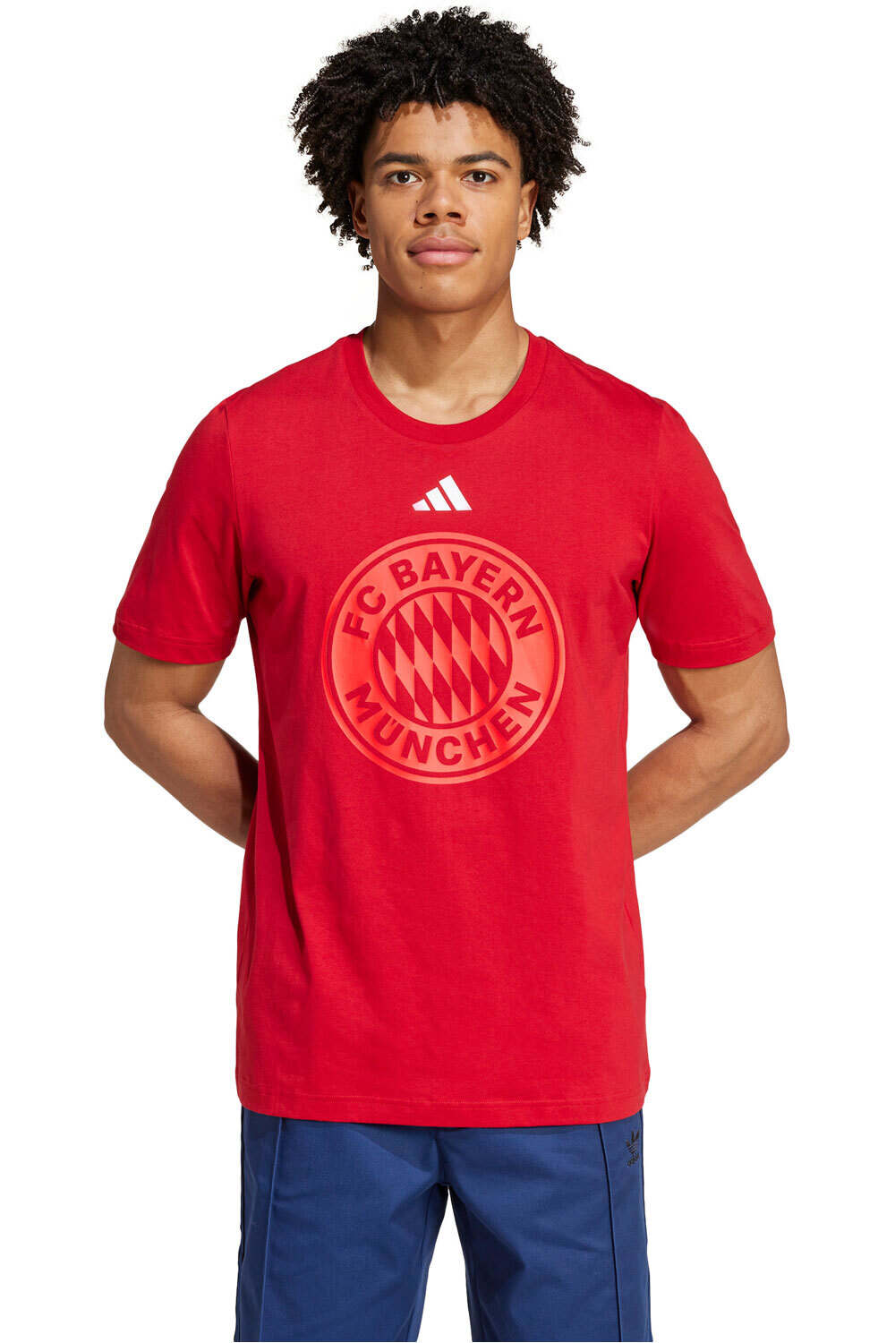 adidas camiseta de fútbol oficiales FC BAYERN MUNICH DNA GR vista frontal