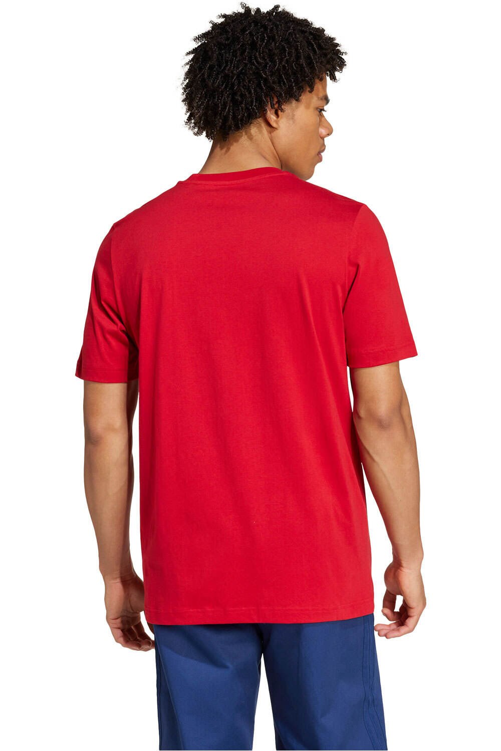 adidas camiseta de fútbol oficiales FC BAYERN MUNICH DNA GR vista trasera