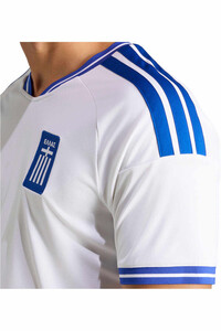 adidas camiseta de fútbol oficiales GRECIA 26 H JSY vista detalle