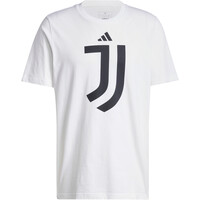 adidas camiseta de fútbol oficiales JUVENTUS DNA GRAPHIC 05