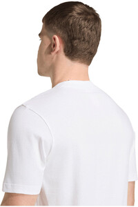 adidas camiseta de fútbol oficiales JUVENTUS FC SEASONAL 03