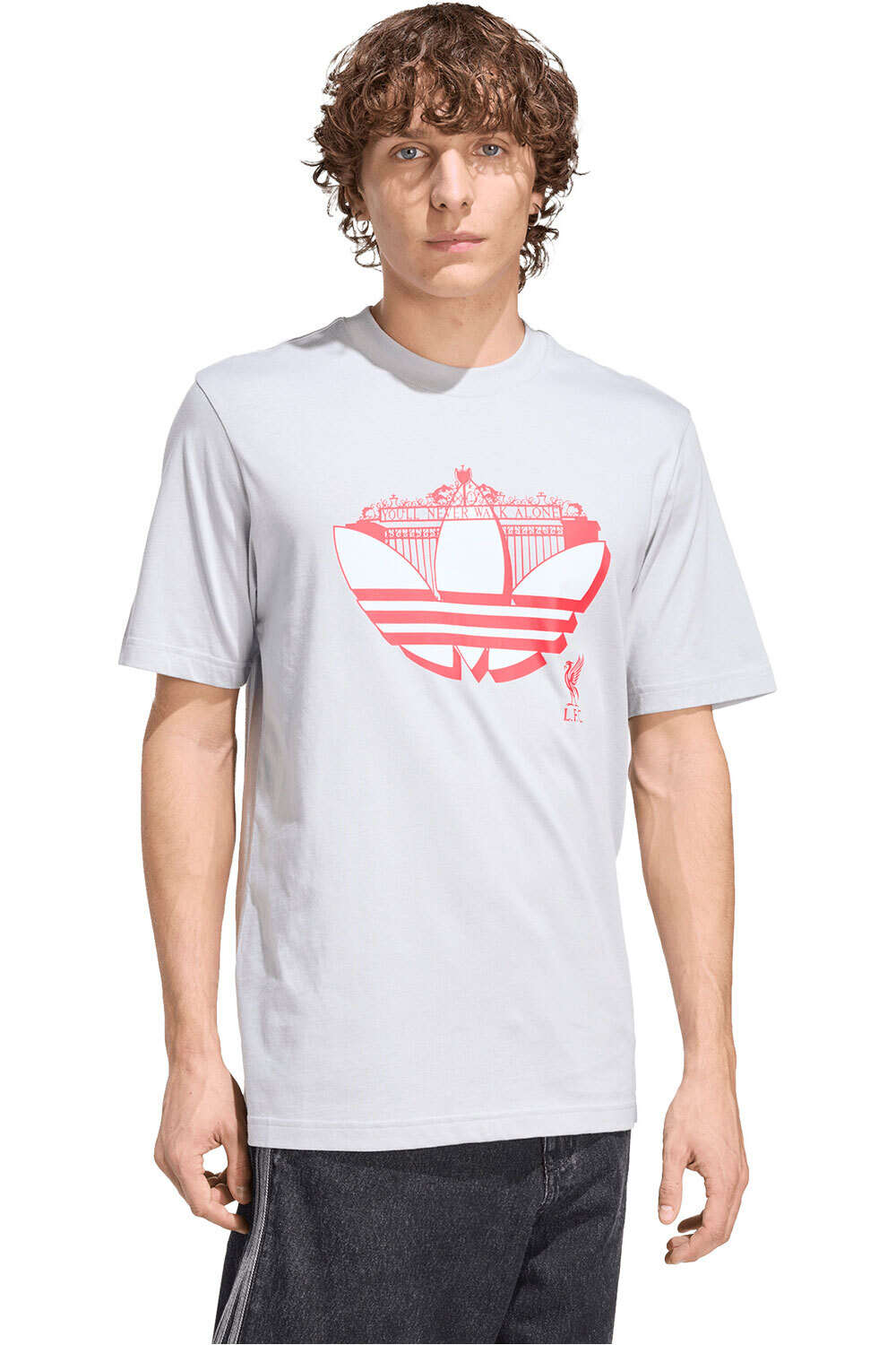 adidas camiseta de fútbol oficiales LIVERPOOL FC SEASONAL vista frontal