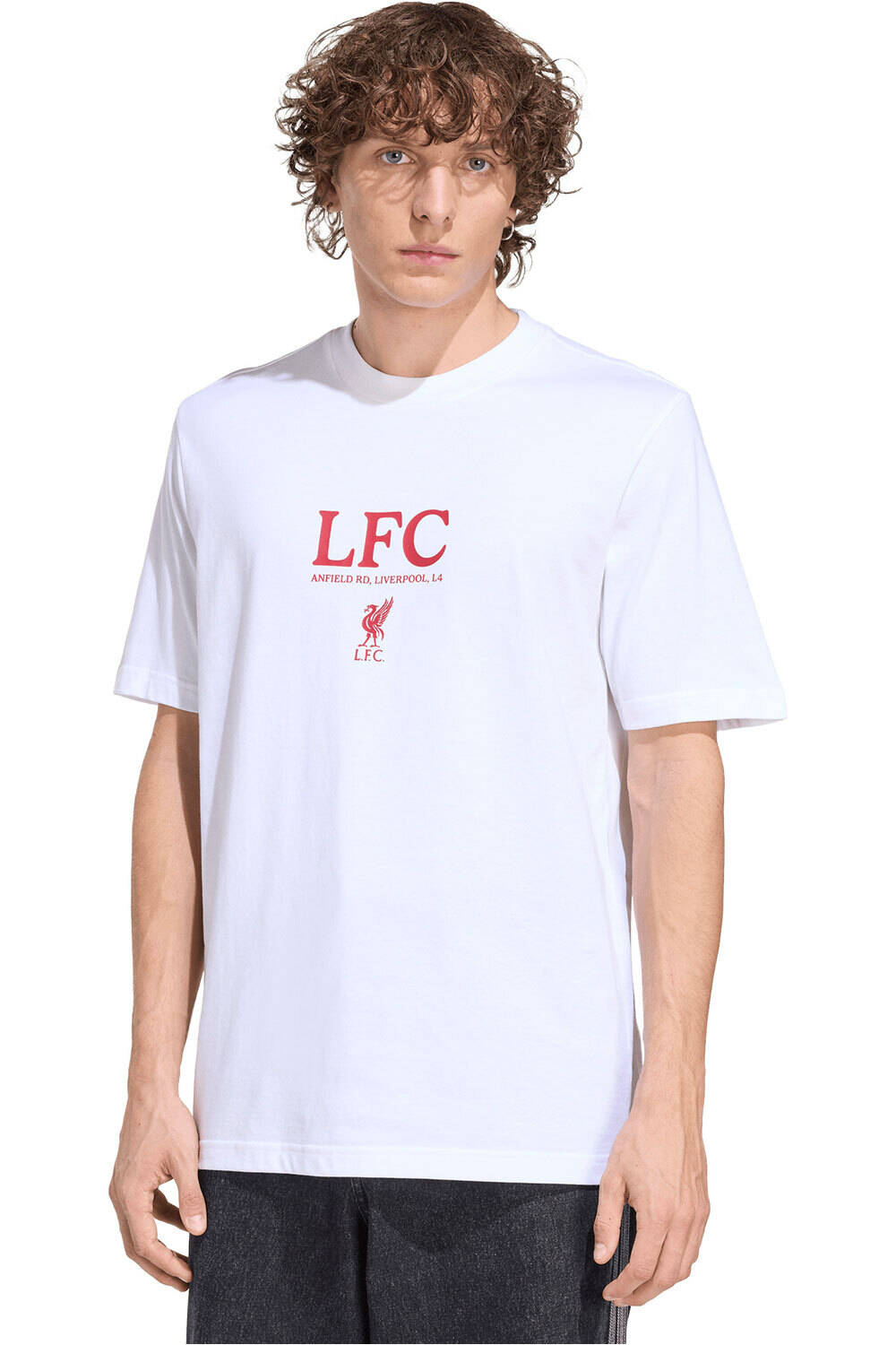 adidas camiseta de fútbol oficiales LIVERPOOL FC SEASONAL vista frontal