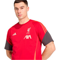 adidas camiseta de fútbol oficiales LIVERPOOL FC TIRO 25 COMPET COTTON vista trasera