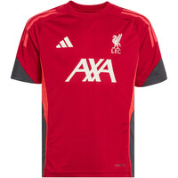 adidas camiseta de fútbol oficiales niño TRAINING LIVERPOOL FC TIRO 25 COMPET 04