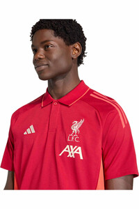 adidas camiseta de fútbol oficiales POLO LIVERPOOL FC TIRO 25 COMPETITION vista detalle