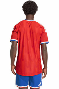 adidas camiseta de fútbol oficiales PRIMERA EQUIPACIN CHILE 2026 OFICIAL vista trasera