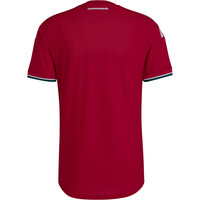 adidas camiseta de fútbol oficiales PRIMERA EQUIPACION HUNGRIA 26 OFICIAL 05