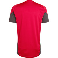 adidas camiseta de fútbol oficiales TRAINING LIVERPOOL FC TIRO 25 COMPET 05