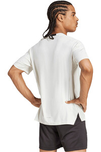 adidas camiseta fitness hombre DESIGNED-FOR-TRAINING INTENSITY vista trasera