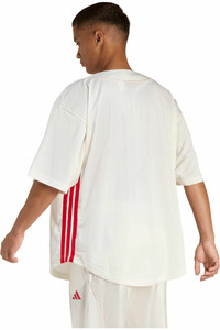 adidas camiseta manga corta hombre BISBOL DE MALLA STADIUM vista trasera