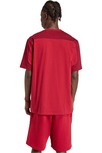 adidas camiseta manga corta hombre COLLEGE vista trasera
