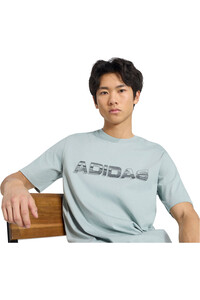 adidas camiseta manga corta hombre DISTRESSED LINEAR vista detalle