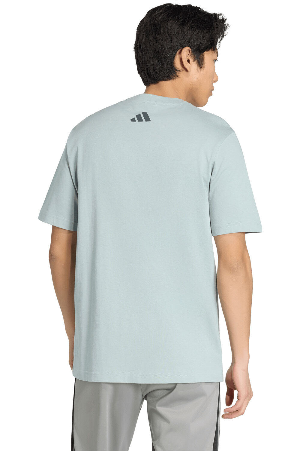 adidas camiseta manga corta hombre DISTRESSED LINEAR vista trasera
