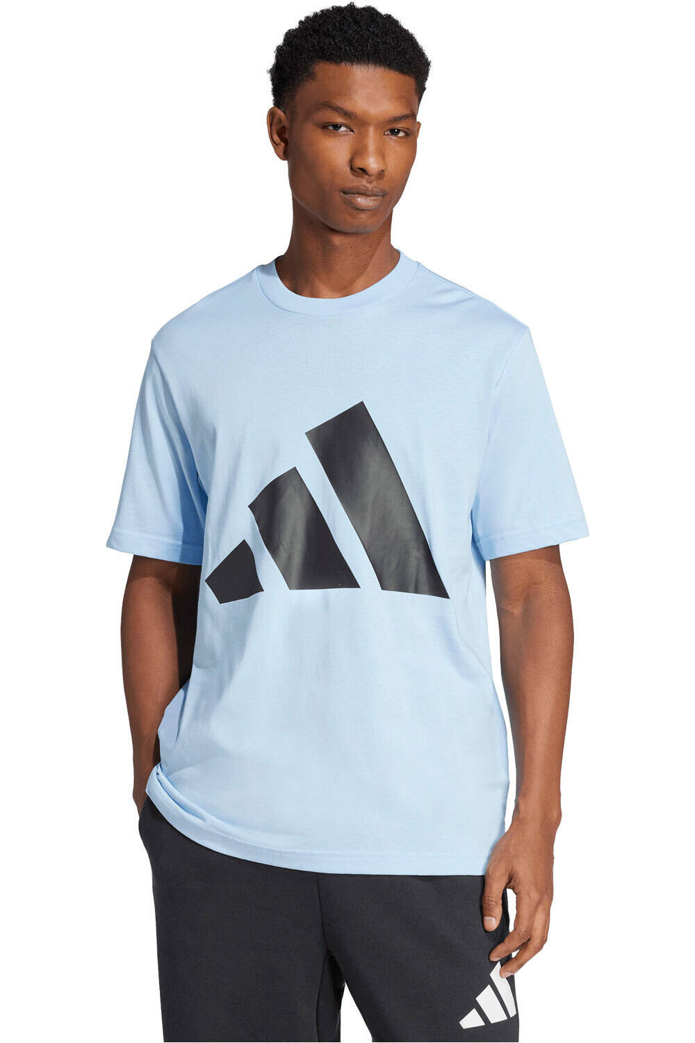 adidas camiseta manga corta hombre ESSENTIALS BIG LOGO vista frontal