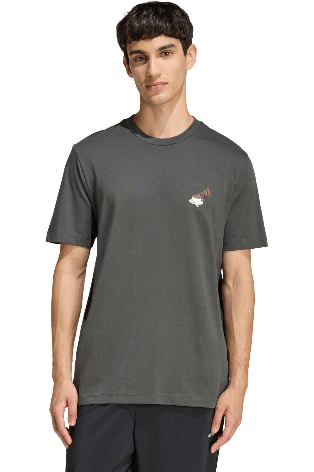 adidas camiseta manga corta hombre ESTAMPADA COFFEE CAFE CHEESECAKE vista frontal