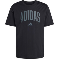 adidas camiseta manga corta hombre ESTAMPADA COLLEGIATE LINEAGE 04