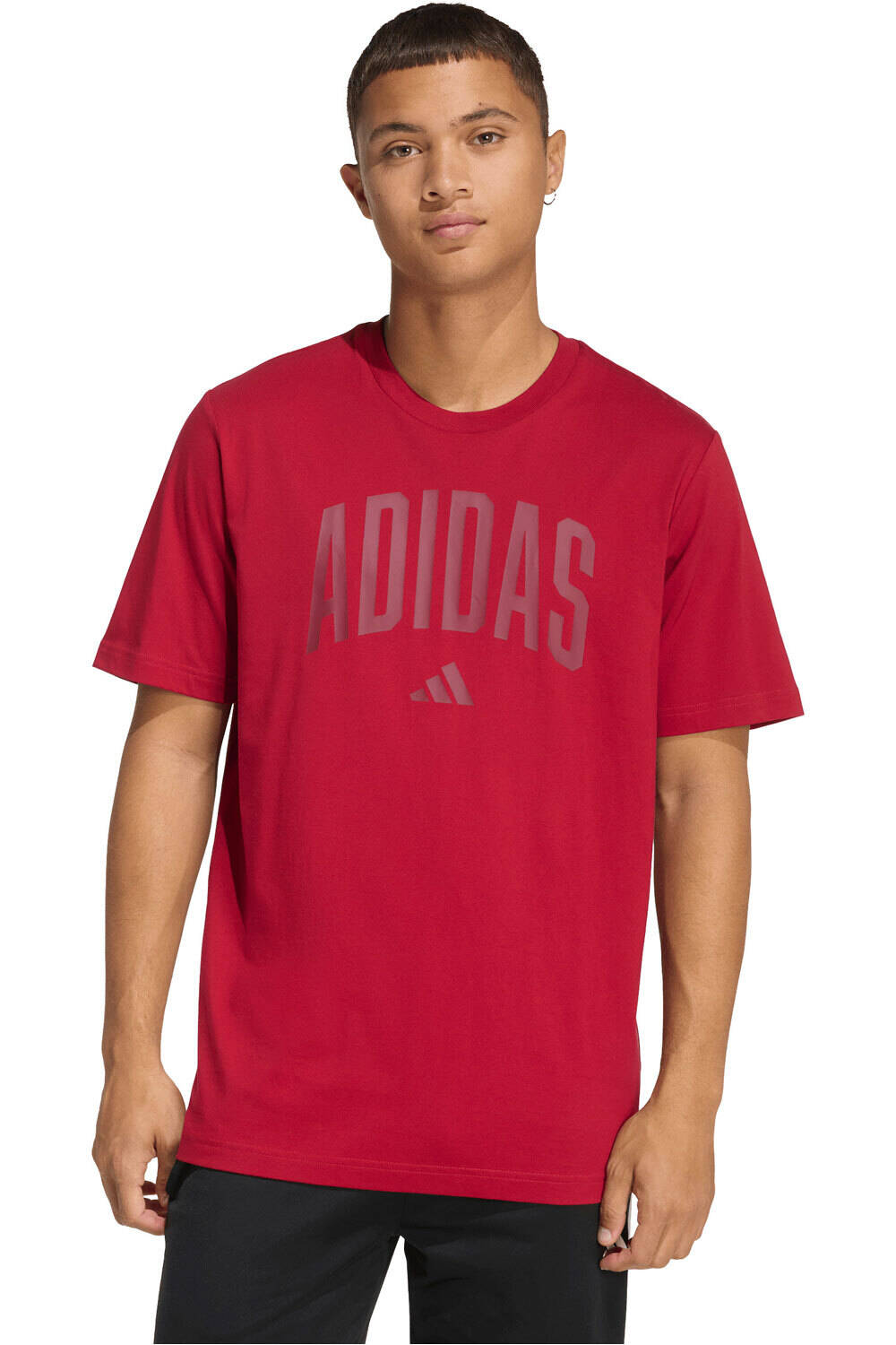 adidas camiseta manga corta hombre ESTAMPADA COLLEGIATE LINEAGE vista frontal
