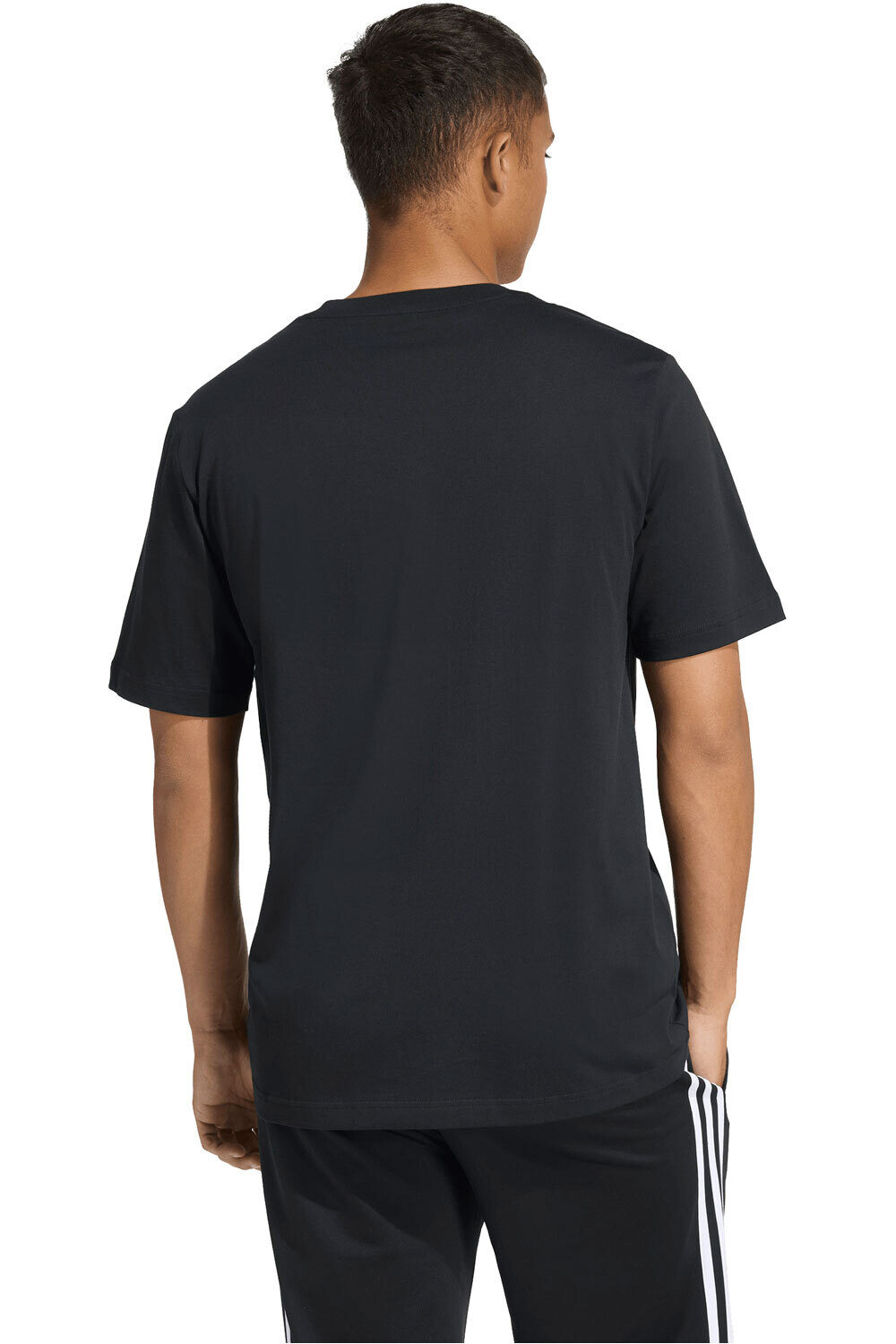 adidas camiseta manga corta hombre ESTAMPADA COLLEGIATE LINEAGE vista trasera