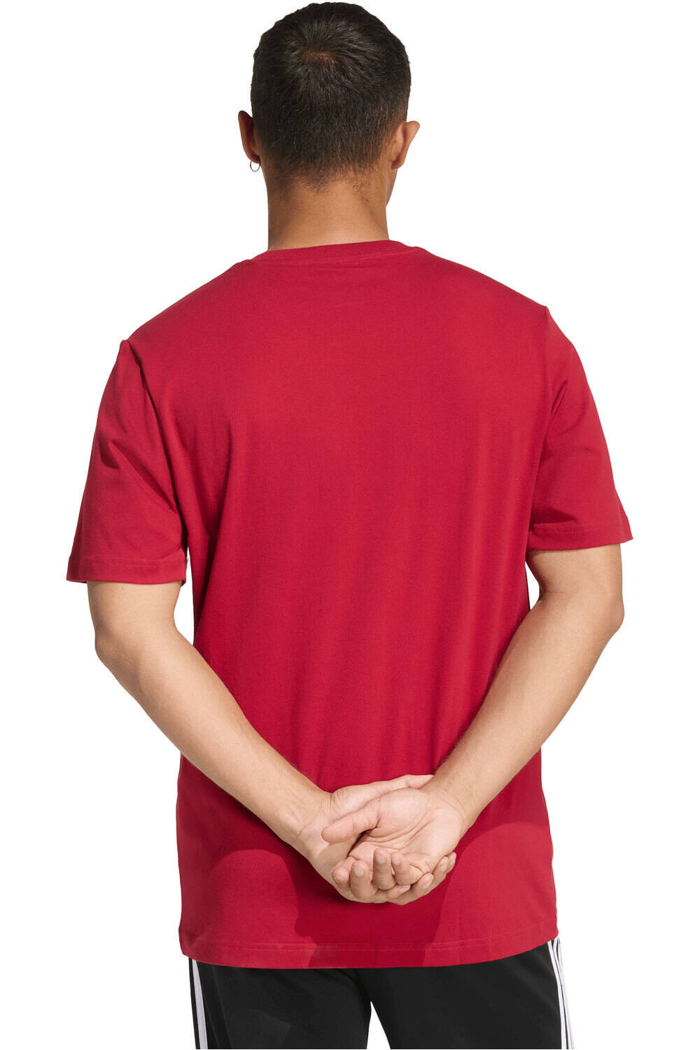 adidas camiseta manga corta hombre ESTAMPADA COLLEGIATE LINEAGE vista trasera