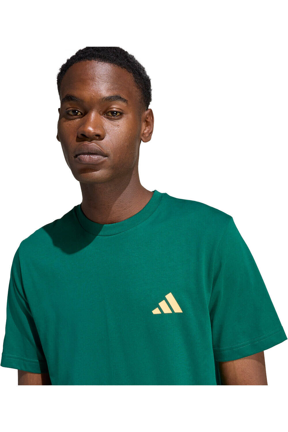 adidas camiseta manga corta hombre ESTAMPADA I LIKE THE STRIPES 03