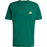 adidas camiseta manga corta hombre ESTAMPADA I LIKE THE STRIPES 04