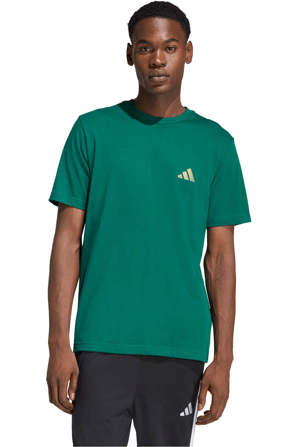 adidas camiseta manga corta hombre ESTAMPADA I LIKE THE STRIPES vista frontal