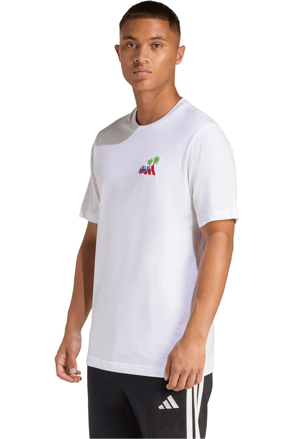 adidas camiseta manga corta hombre ESTAMPADA MINI EMBROIDERY SURFING vista frontal