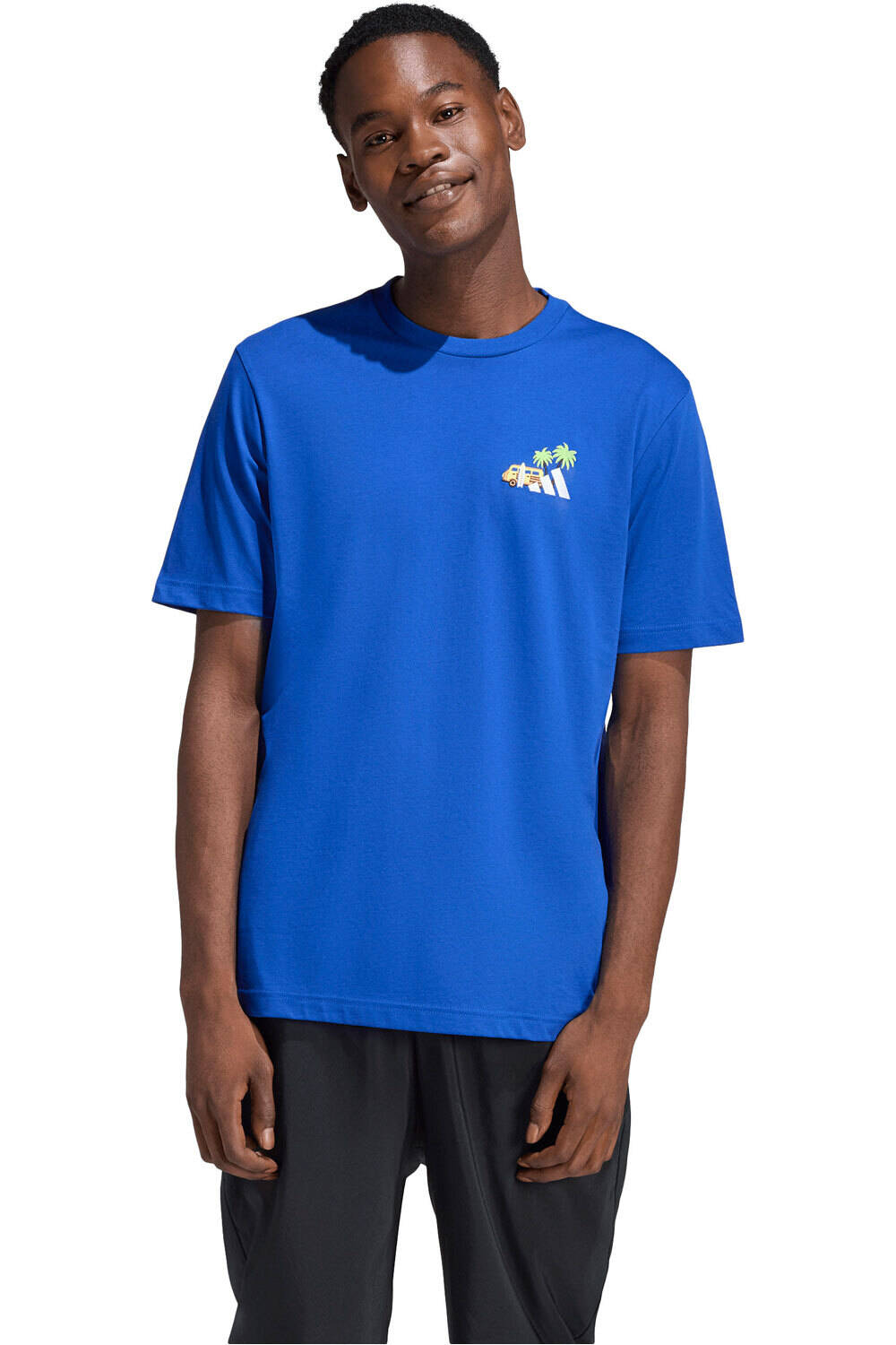 adidas camiseta manga corta hombre ESTAMPADA MINI EMBROIDERY SURFING vista frontal