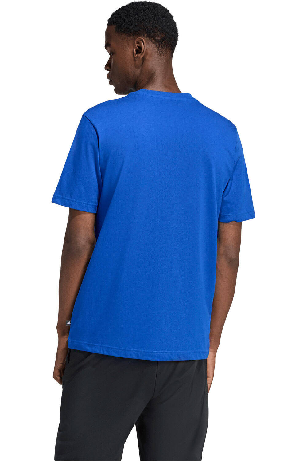 adidas camiseta manga corta hombre ESTAMPADA MINI EMBROIDERY SURFING vista trasera