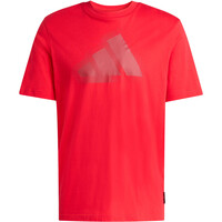 MODERN ESSENTIALS GRAPHIC