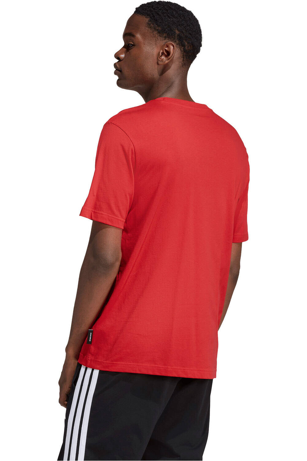 adidas camiseta manga corta hombre ESTAMPADA MODERN ESSENTIALS vista trasera