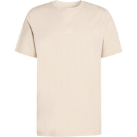 adidas camiseta manga corta hombre ESTAMPADA STADIUM FLARE 04