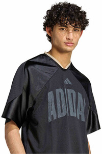 adidas camiseta manga corta hombre GRFICO STADIUM vista detalle