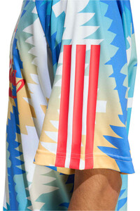 adidas camiseta manga corta hombre HOUSE OF TIRO X COMMON GOAL 03