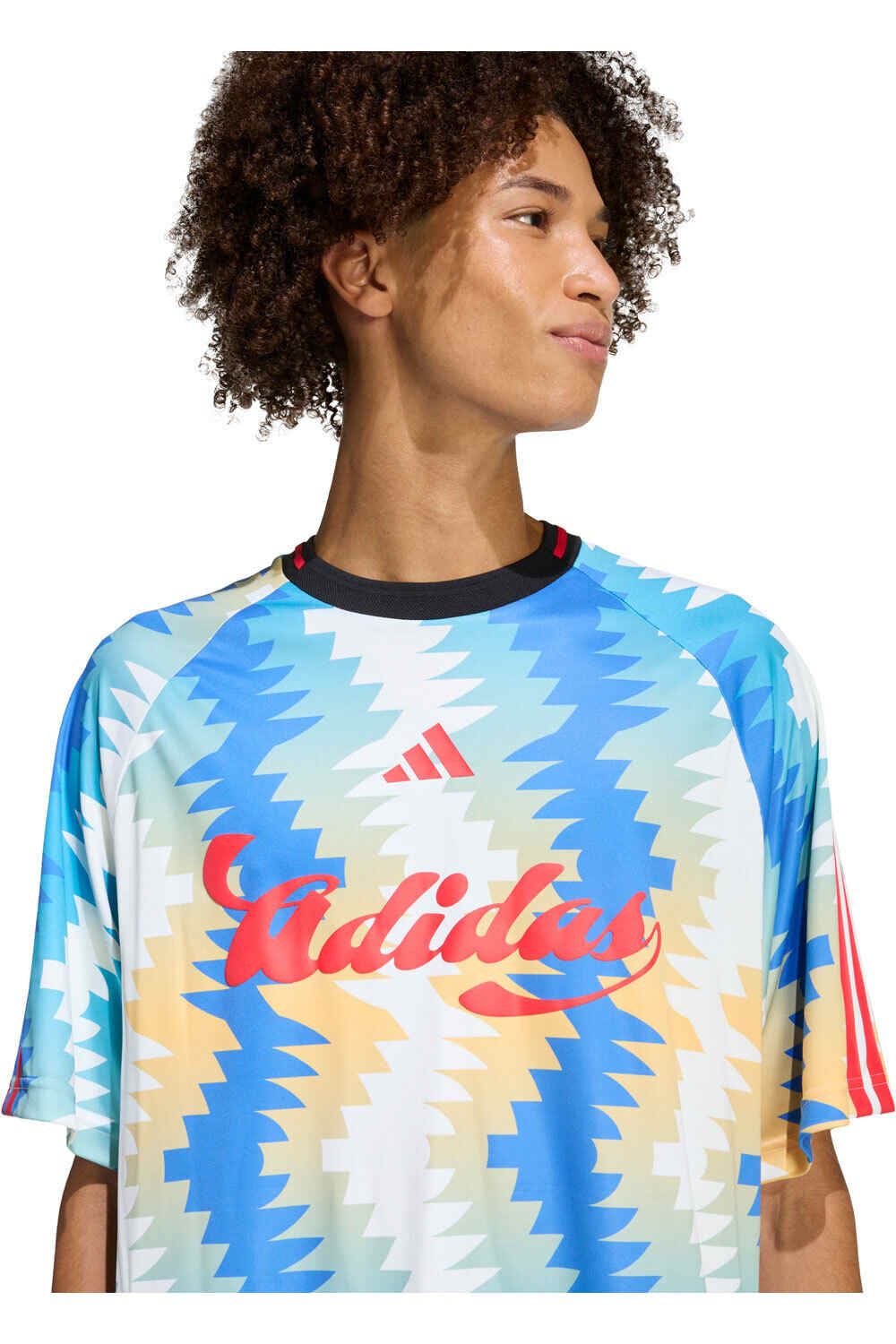 adidas camiseta manga corta hombre HOUSE OF TIRO X COMMON GOAL vista detalle