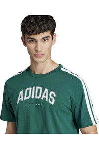 adidas camiseta manga corta hombre M C COLLEG TEE 03