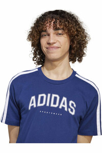 adidas camiseta manga corta hombre M C COLLEG TEE 03